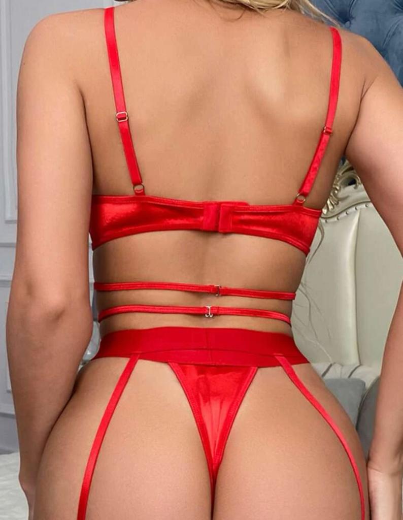 Underwire Garter Bustier Set With Stockings